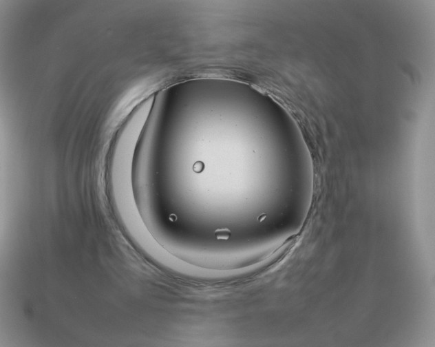 X0000114140293200910221531