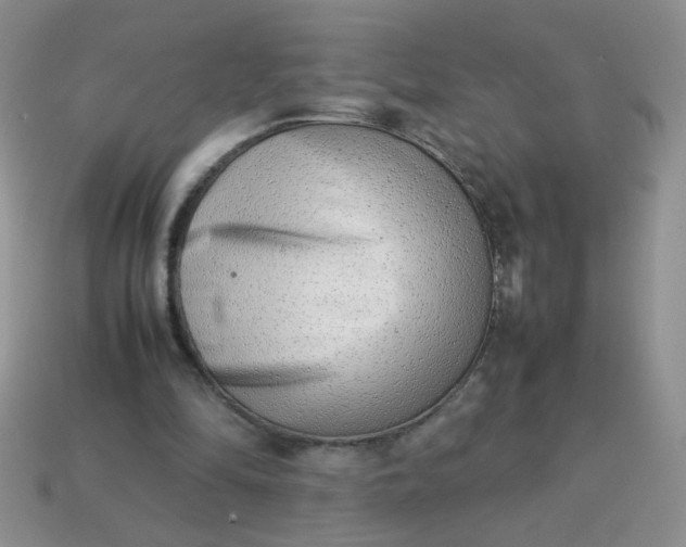 X0000114140294200910221531