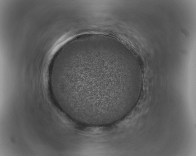 X0000114140295200910221531