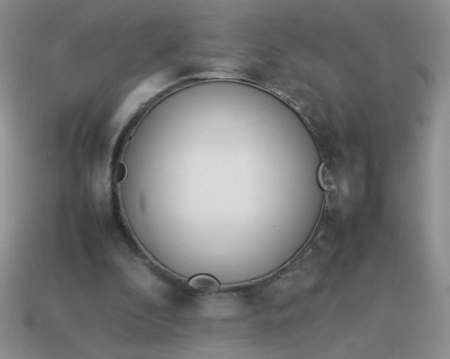 X0000114140296200910221531