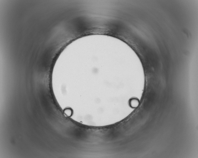 X0000114140297200910221531