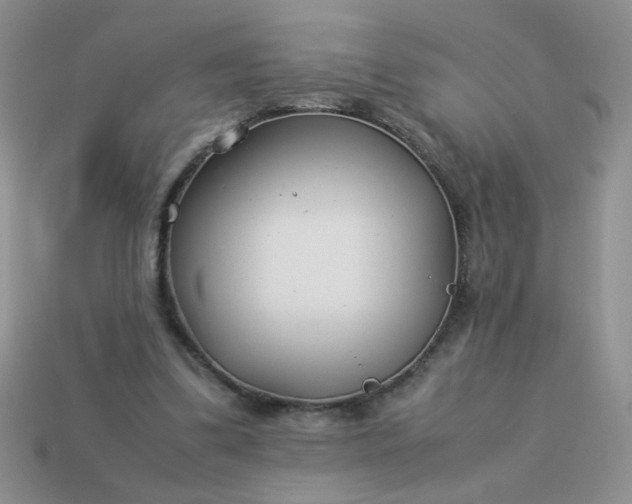 X0000114140299200910221531