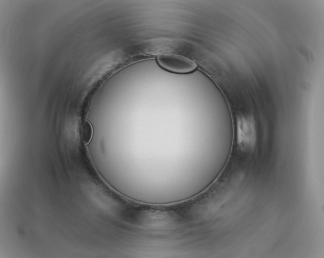 X0000114140300200910221531