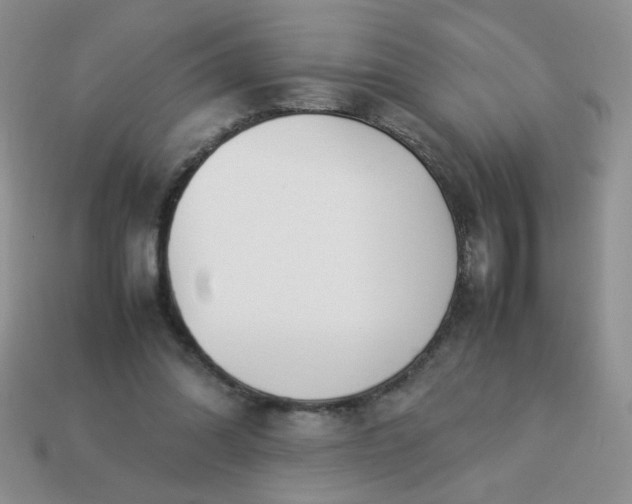 X0000114140302200910221531