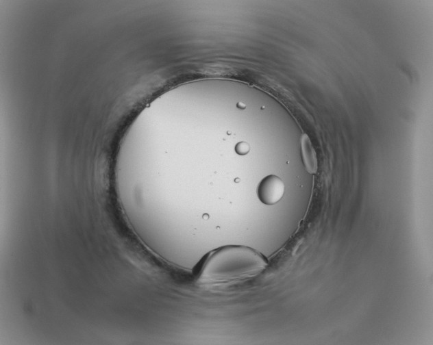 X0000114140303200910221531