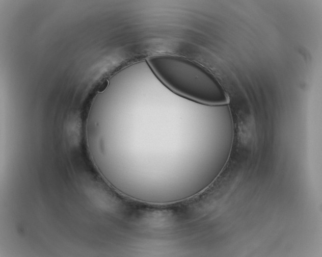 X0000114140304200910221531