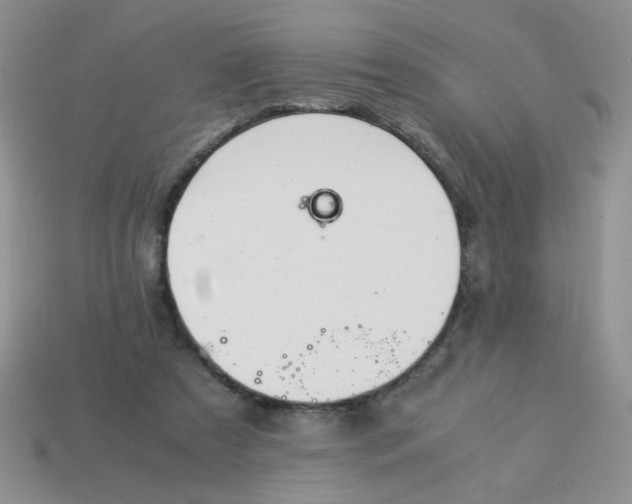 X0000114140305200910221531