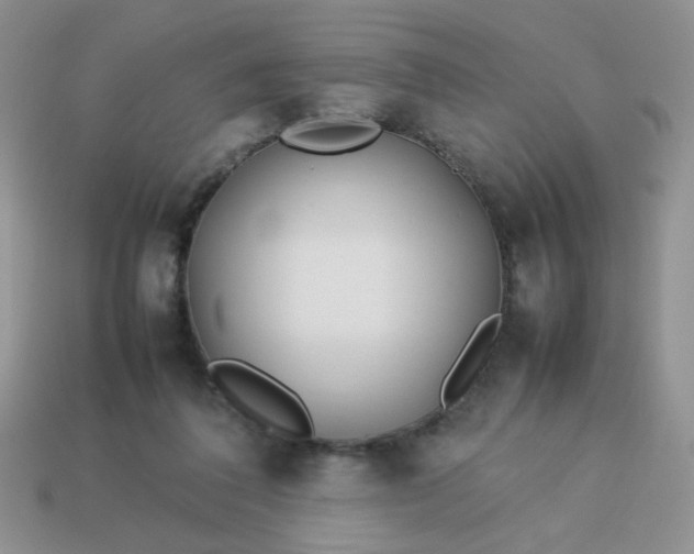 X0000114140308200910221531