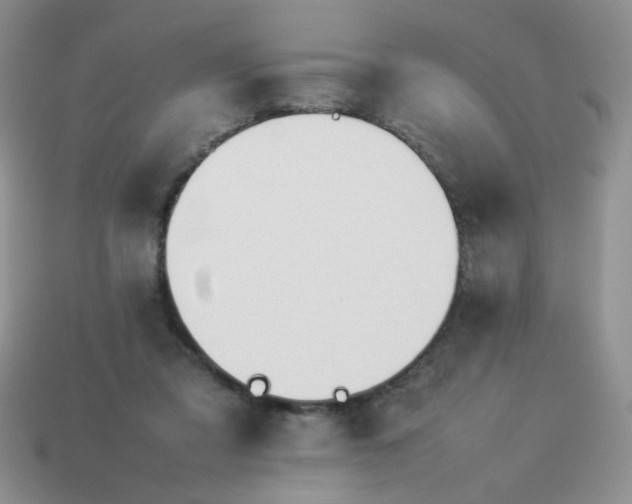 X0000114140309200910221531