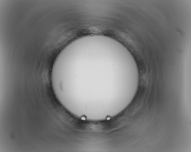 X0000114140317200910221531