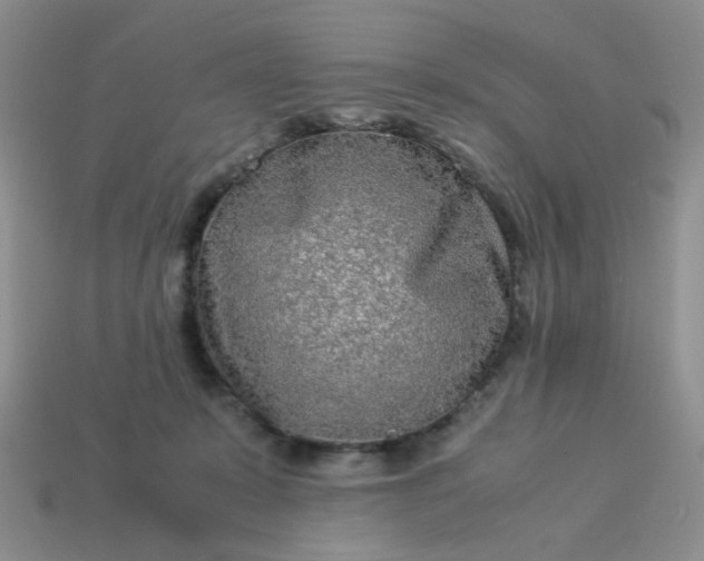 X0000114140319200910221531