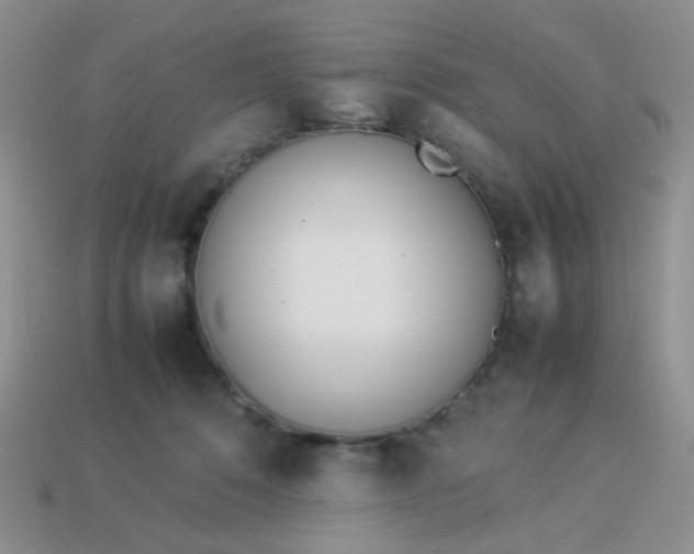 X0000114140320200910221531