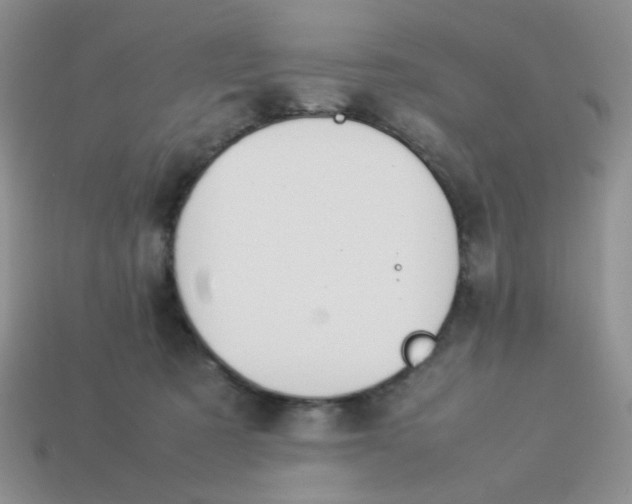 X0000114140321200910221531