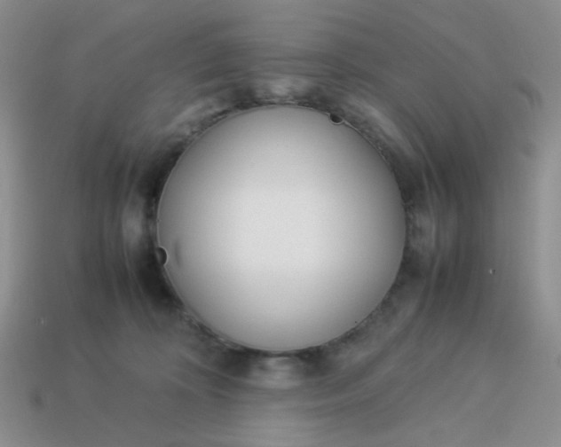 X0000114140324200910221531