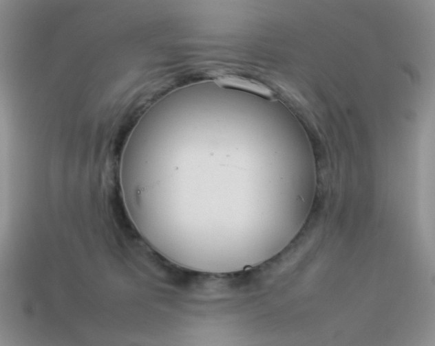 X0000114140325200910221531