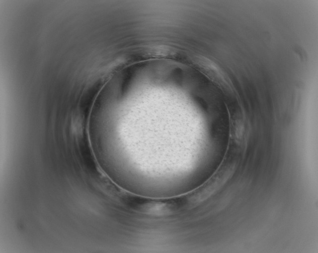 X0000114140326200910221531