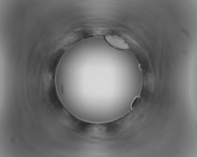 X0000114140327200910221530