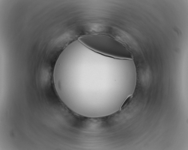 X0000114140328200910221530