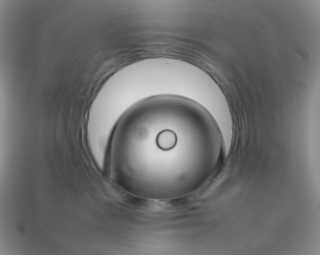 X0000114140333200910221530