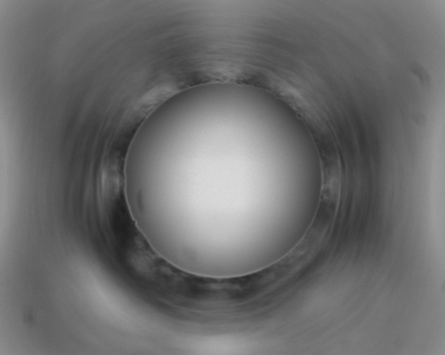 X0000114140334200910221530