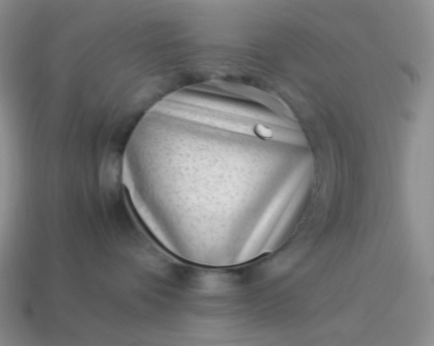 X0000114140336200910221530