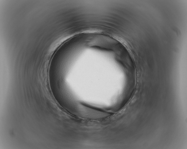 X0000114140337200910221529