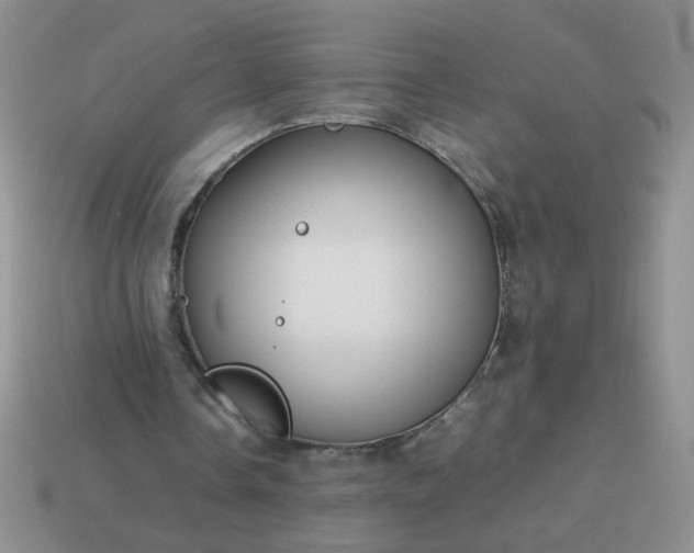 X0000114140338200910221529