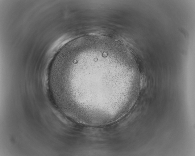 X0000114140339200910221529