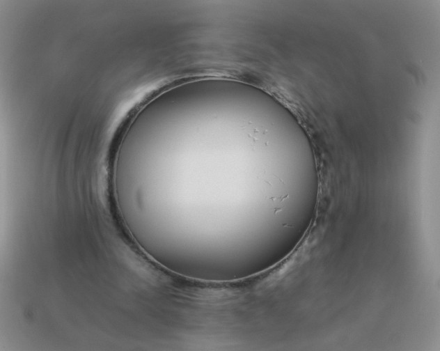 X0000114140342200910221529