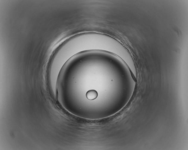 X0000114140344200910221530