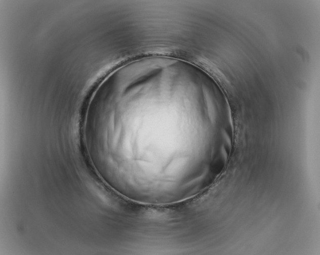 X0000114140346200910221530