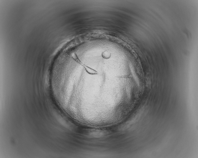 X0000114140347200910221530