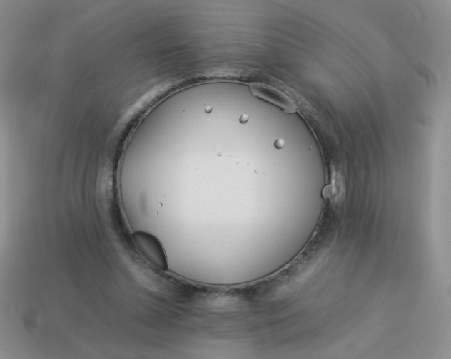 X0000114140348200910221530