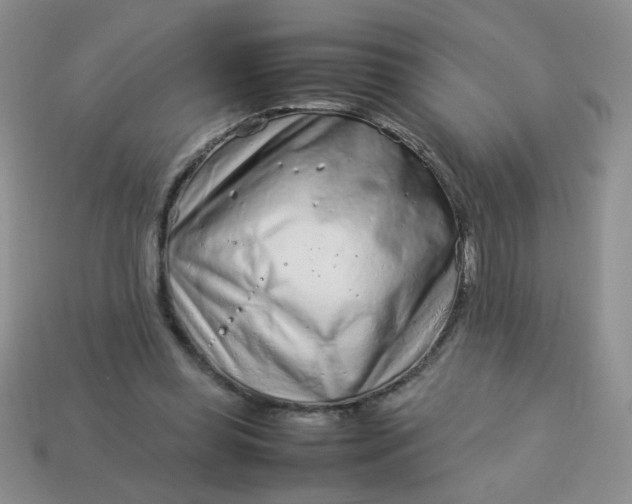 X0000114140349200910221530