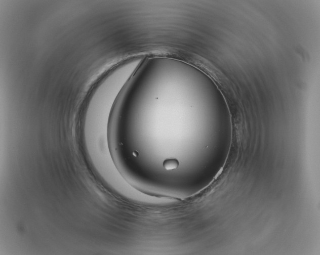 X0000114140350200910221530