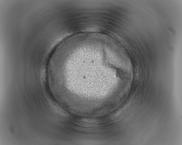 X0000114140351200910221530