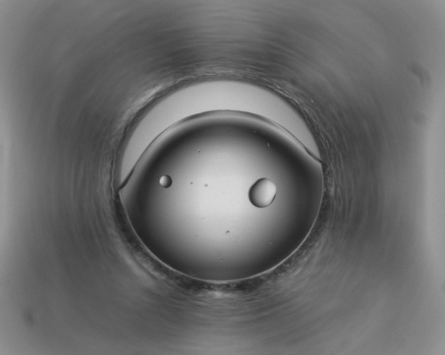 X0000114140352200910221530