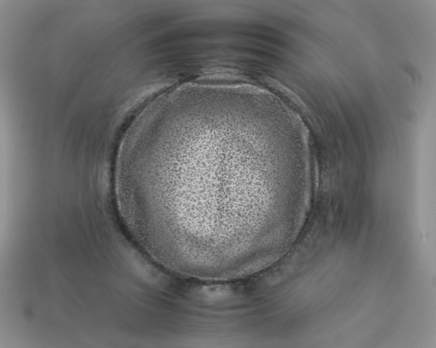 X0000114140353200910221530