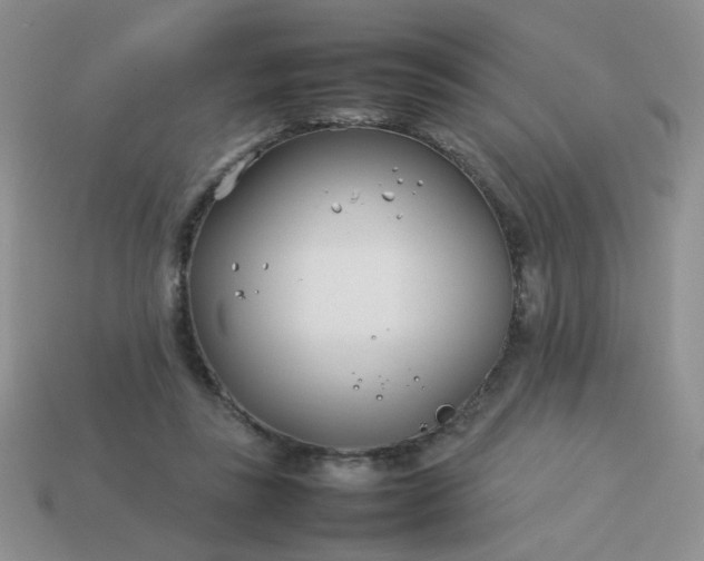 X0000114140355200910221530