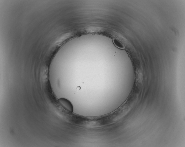 X0000114140356200910221530