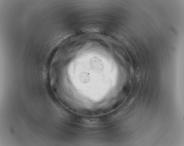 X0000114140359200910221530