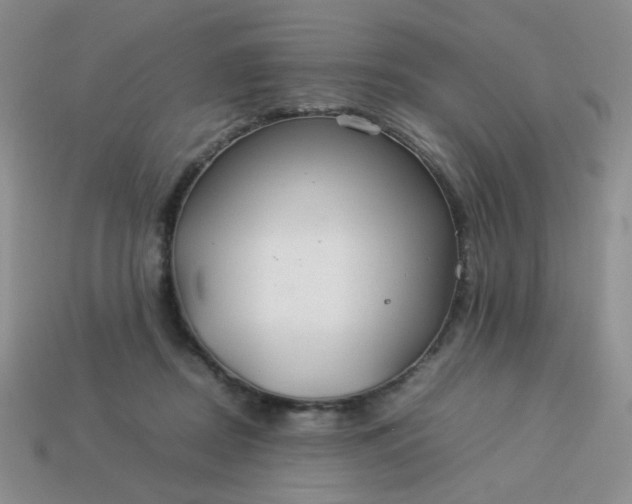 X0000114140362200910221530