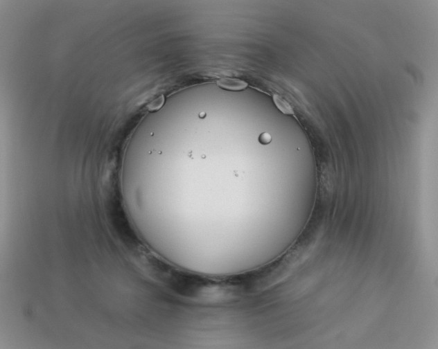 X0000114140364200910221530