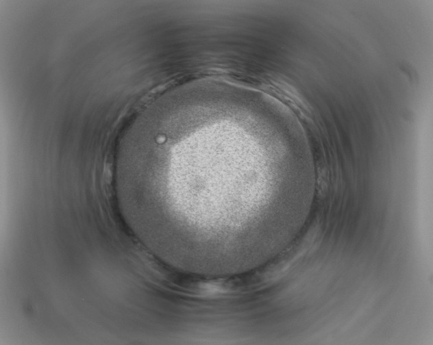 X0000114140365200910221530