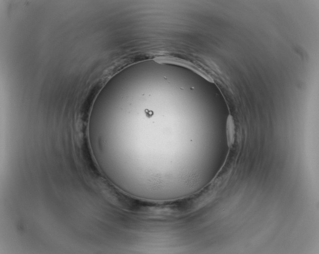 X0000114140366200910221530