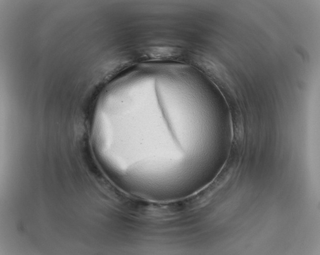 X0000114140367200910221530