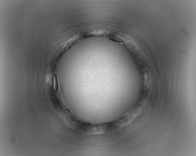 X0000114140368200910221530