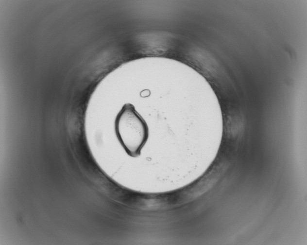 X0000114140370200910221530