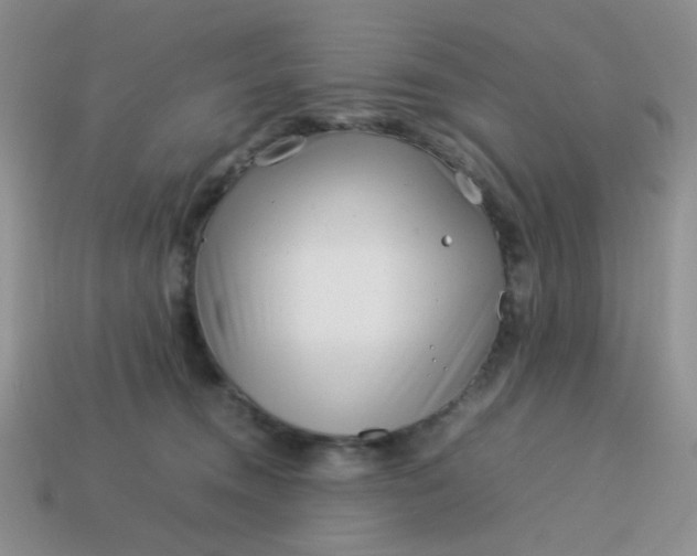 X0000114140372200910221530