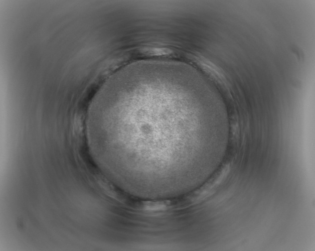 X0000114140373200910221530